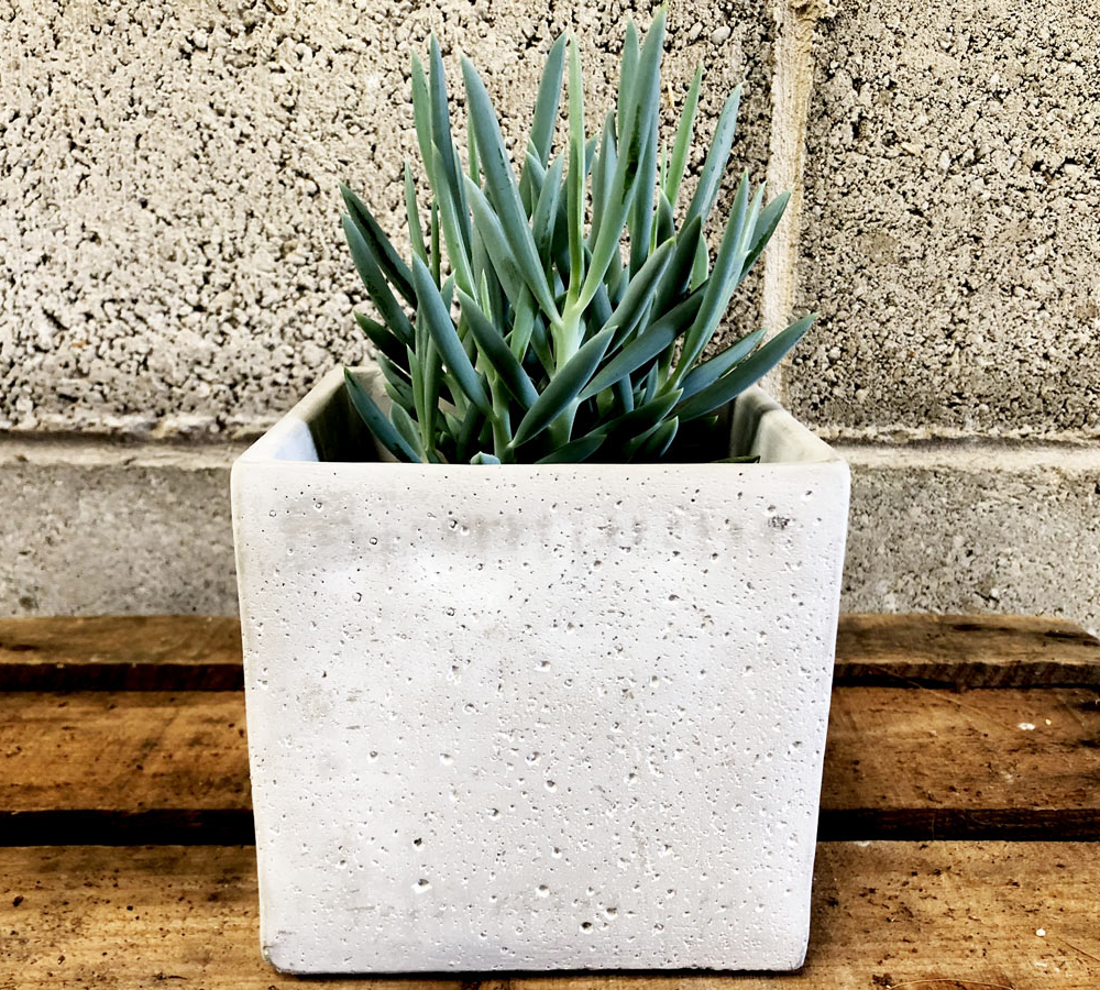 Square Cement Flower Pot 12cm – Plant Generation